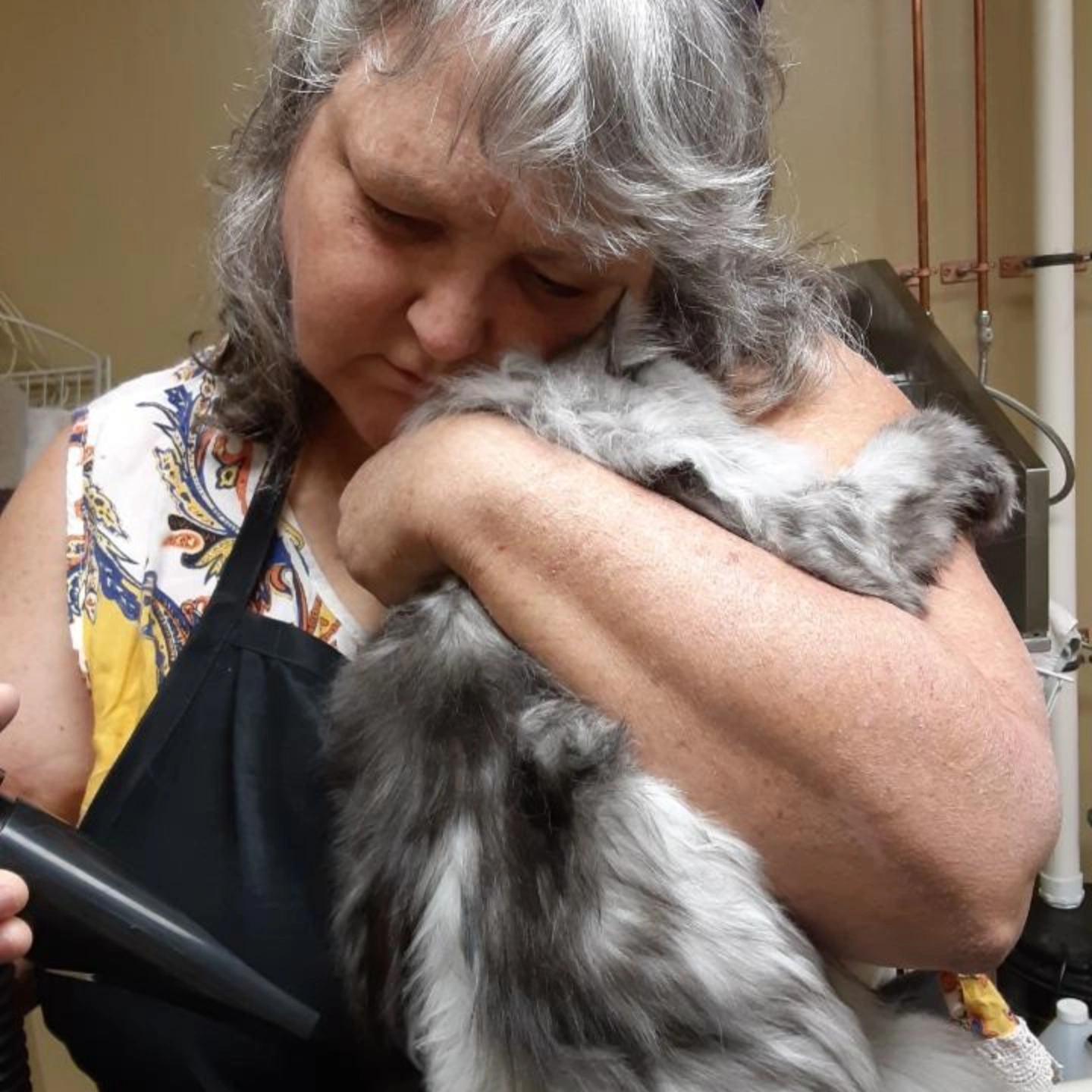 Top Cat and Tails Cat Grooming
